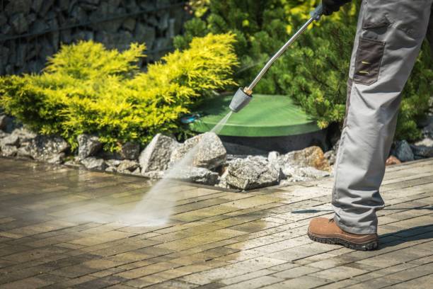 Best House Exterior Washing  in Hoquiam, WA